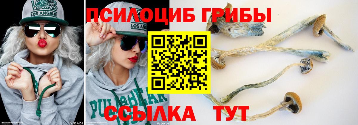 Галлюциногенные грибы Psilocybe  Вход с VPN  Галлюциногенные грибы прущие грибы  Губаха 