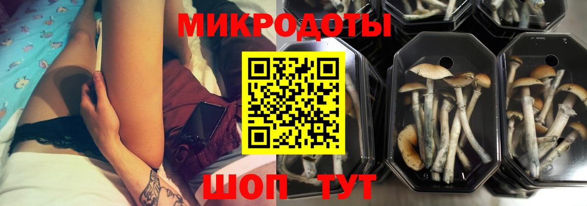 Псилоцибиновые грибы мухоморы Губаха